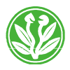 Novica
